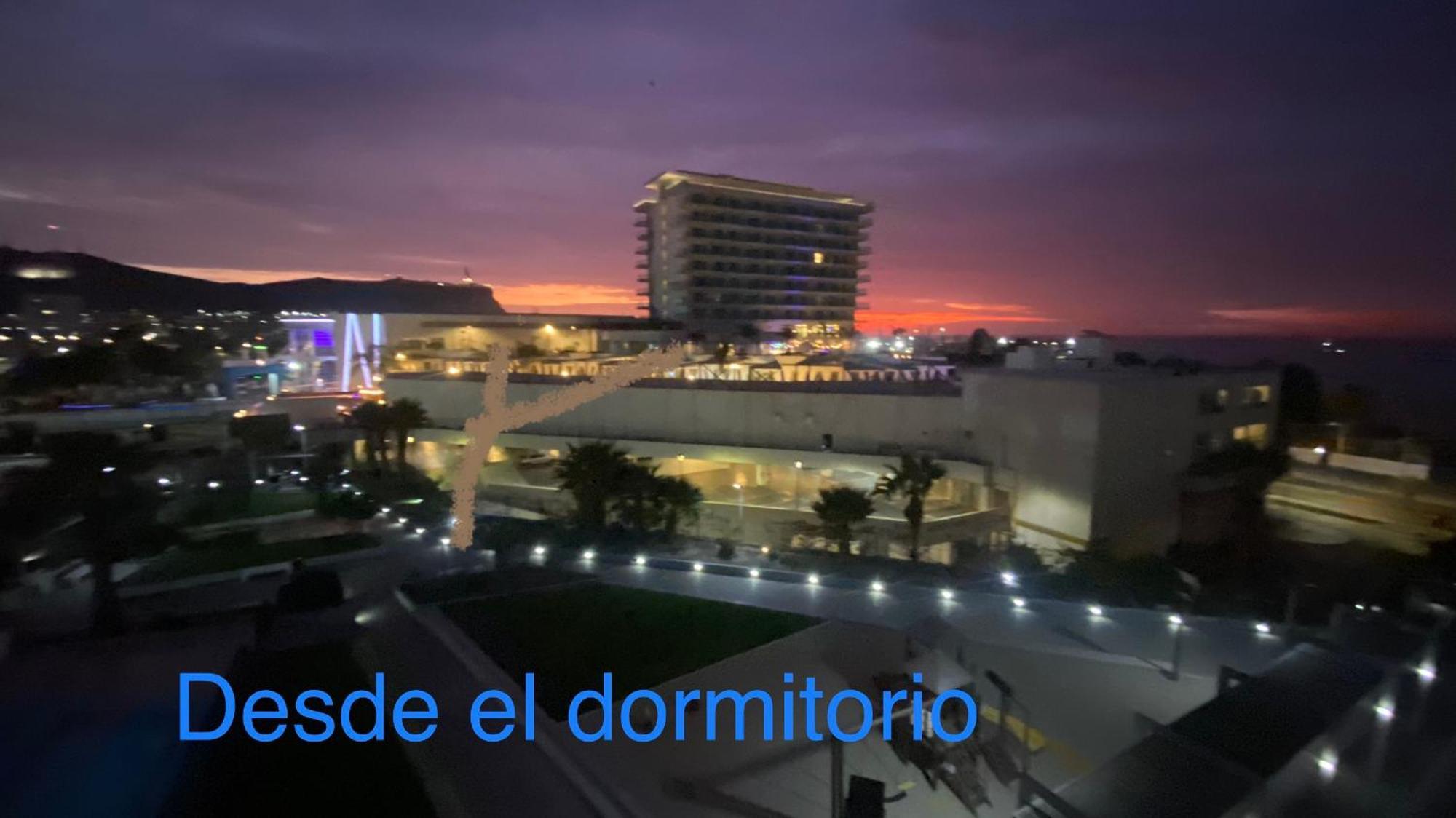 Palmarpuntoarica